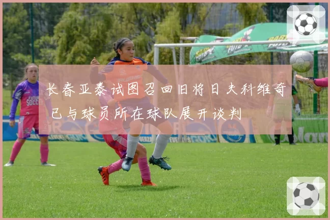 长春亚泰试图召回旧将日夫科维奇 已与球员所在球队展开谈判