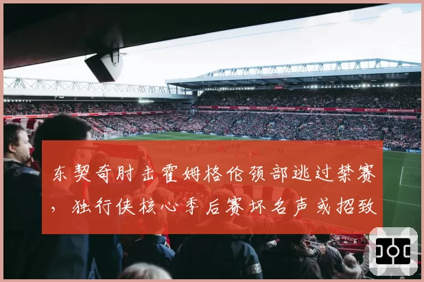 东契奇肘击霍姆格伦颈部逃过禁赛，独行侠核心季后赛坏名声或招致裁判重点盯防__br_
