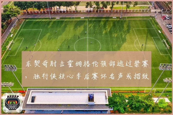 东契奇肘击霍姆格伦颈部逃过禁赛，独行侠核心季后赛坏名声或招致裁判重点盯防__br_