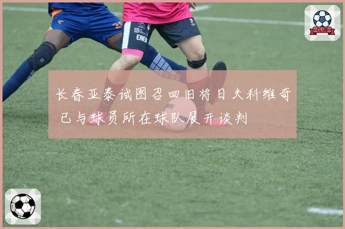 长春亚泰试图召回旧将日夫科维奇 已与球员所在球队展开谈判